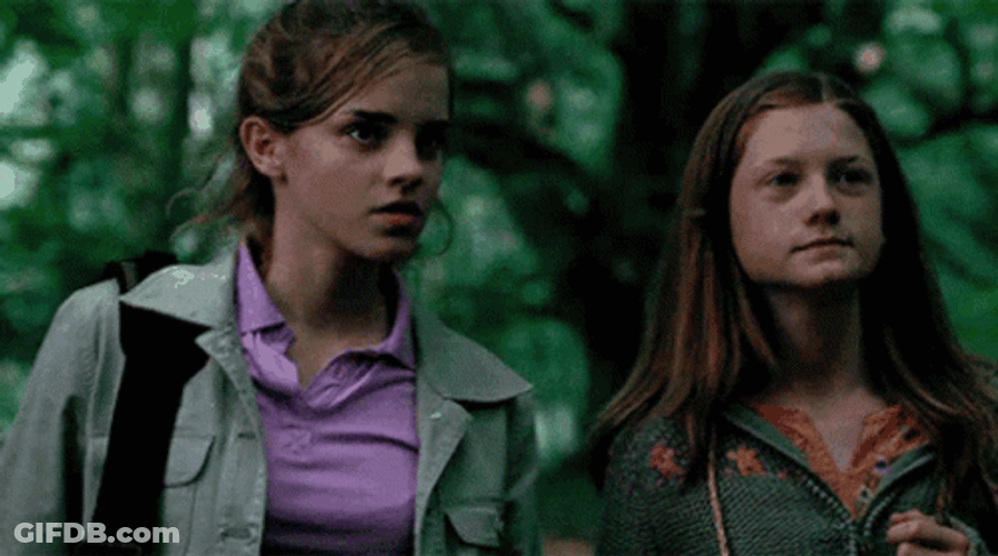 Hermione And Ginny Weasley GIF