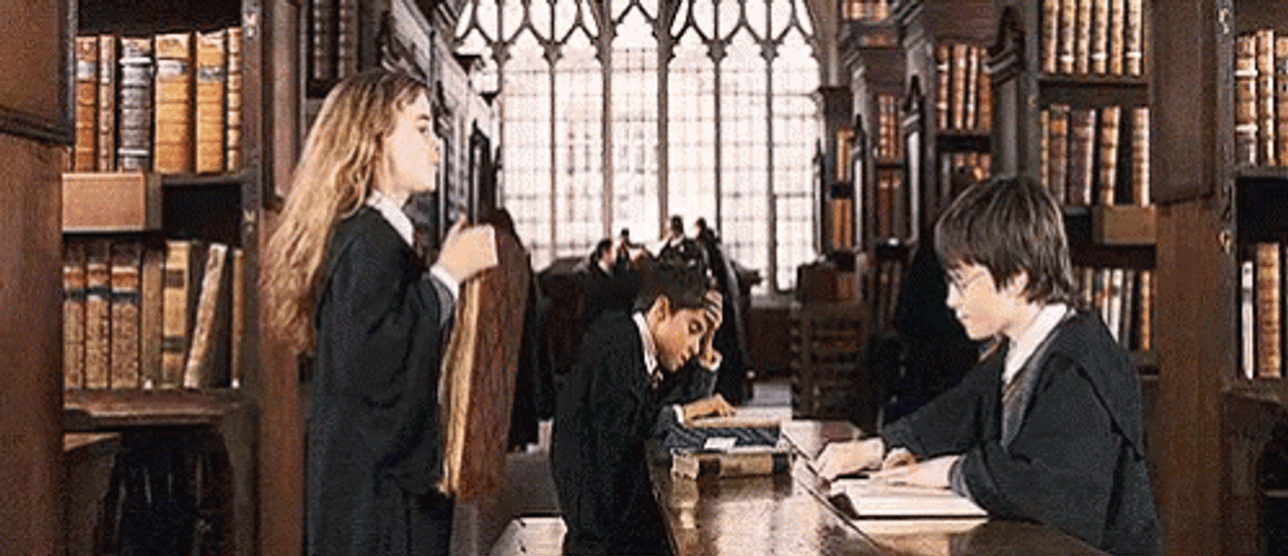 Hermione Give Books To Harry Potter GIF