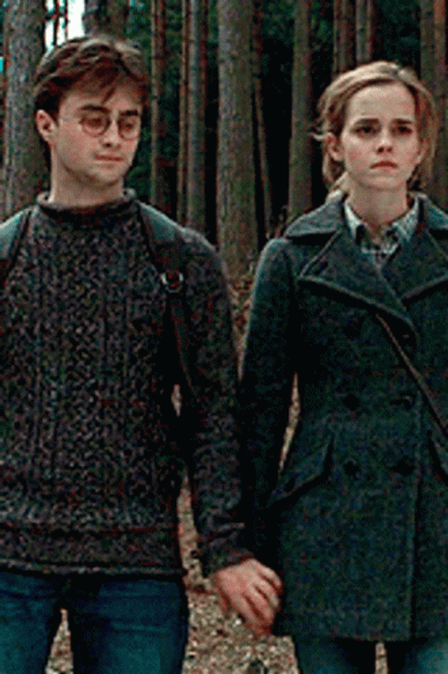 Hermione Granger Harry Hold Hand GIF