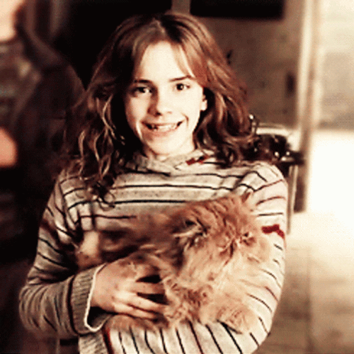 Hermione Granger Holding Cat GIF