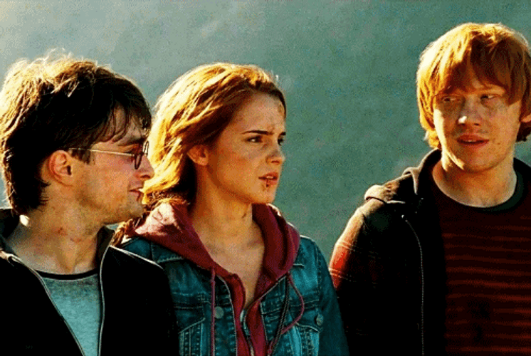 Hermione Granger Ron And Harry GIF