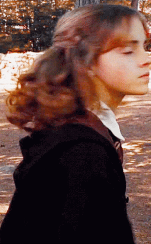 Hermione Granger Stare GIF