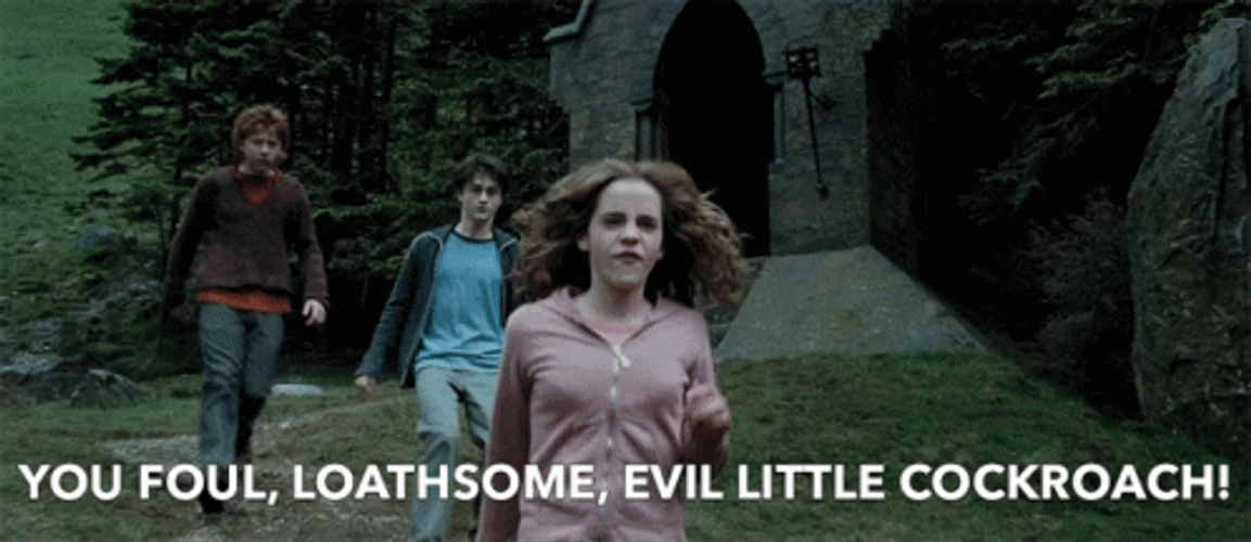 Hermione Granger Vs. Draco Malfoy GIF