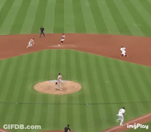 Herners Throwing Baseball GIF