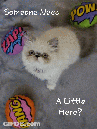 Hero Poster With Cat And Comics Balls GIF