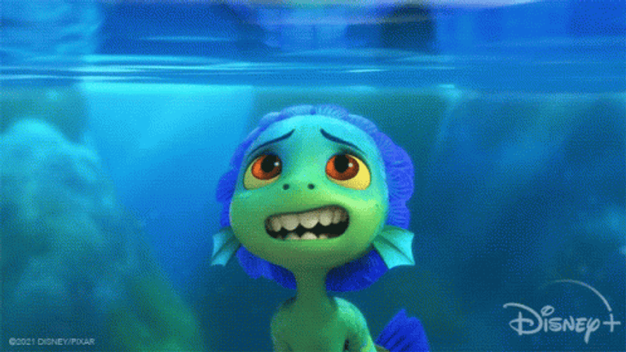 Hesitant Sea Creature Luca Paguro GIF