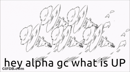 Hey Alpha GC What Is Up GIF