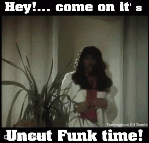 Hey Come On It's Uncut Funk Time GIF