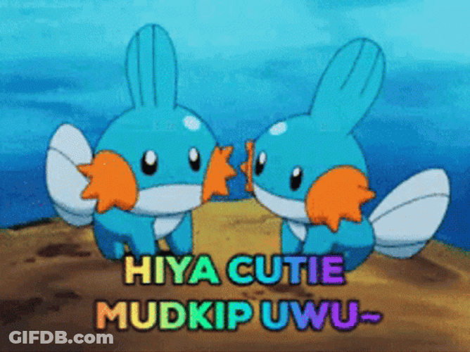 Hey Cutie Mudkip GIF