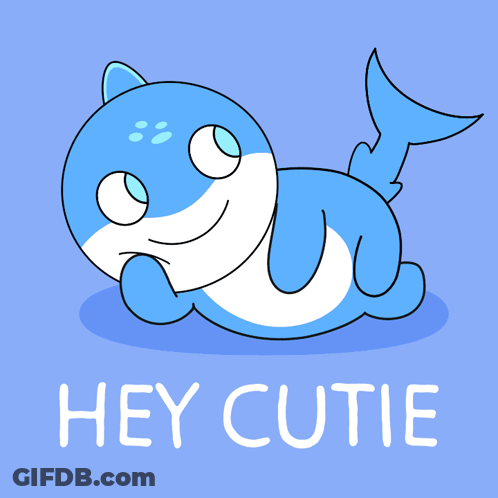 Hey Cutie Shark GIF