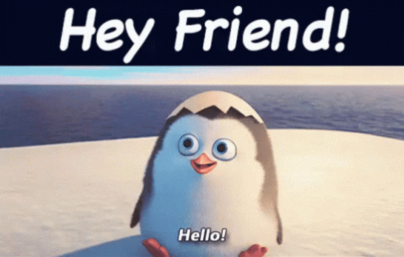 Hey Friend Hello Penguin GIF