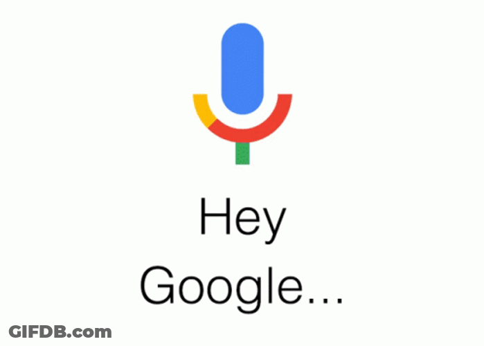Hey Google Hey Siri Hey Alexa GIF