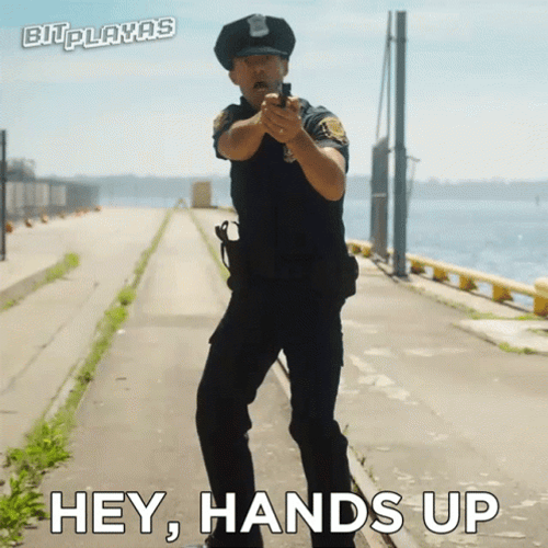 Hey Hands Up Police GIF