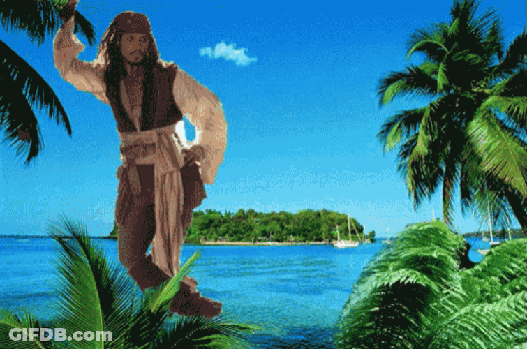 Hey Jack, Pirates 4? GIF