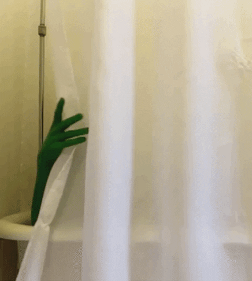 Hey Shrek Shower Time GIF