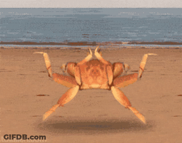 Hey Siri Show Me Running Animated Ocypode Gaudichaudii GIF