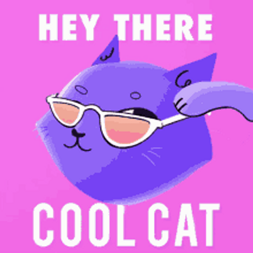 Hey There Cool Cat Wink Sticker GIF