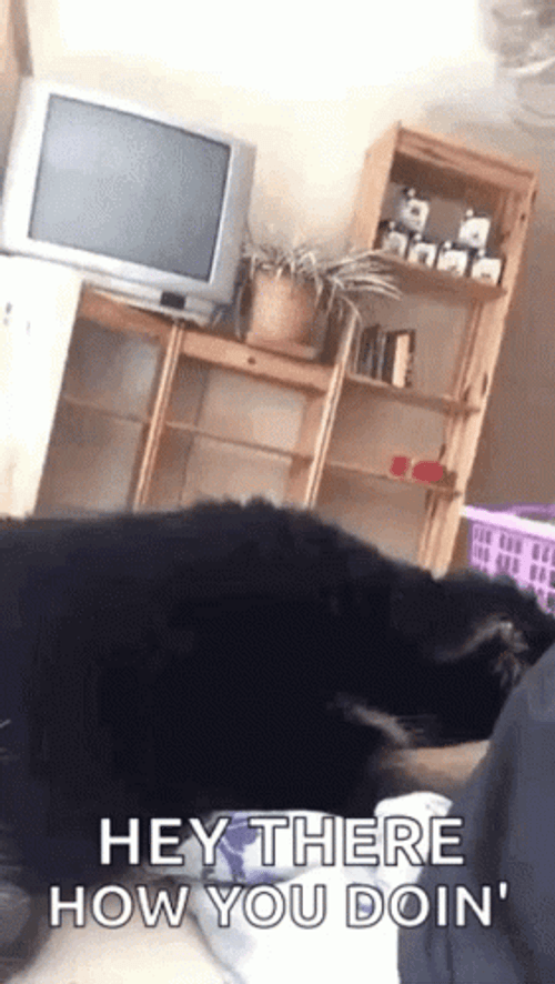 Hey There How You Doing GIF