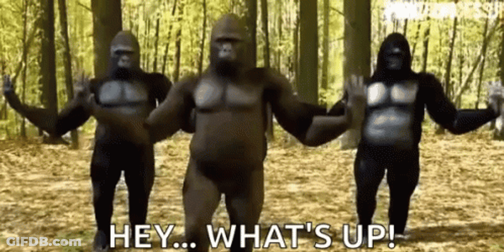 Hey What's Up Gorilla Dancing GIF