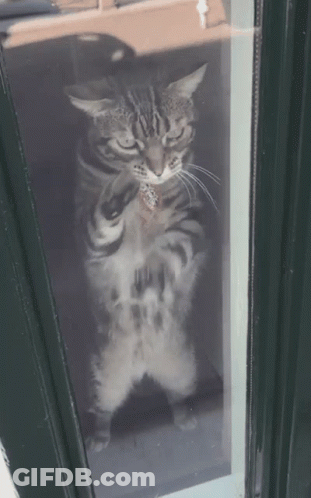 Hey You Text On Red Background GIF