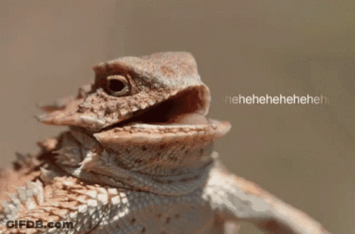 Hhhehehe Horned GIF