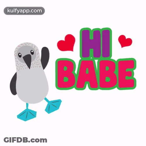 Hi Babe Cute Bird GIF