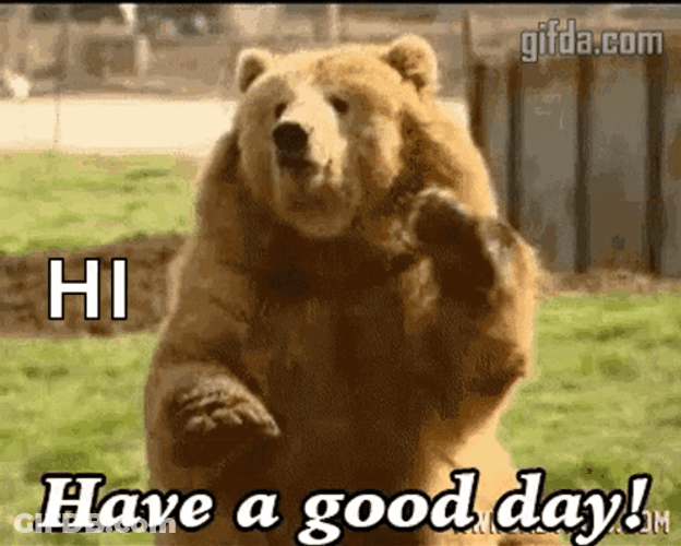 Hi Bear Hope You're Having A Good Day GIF
