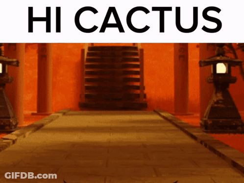 Hi Cactus Sign With Staircase GIF