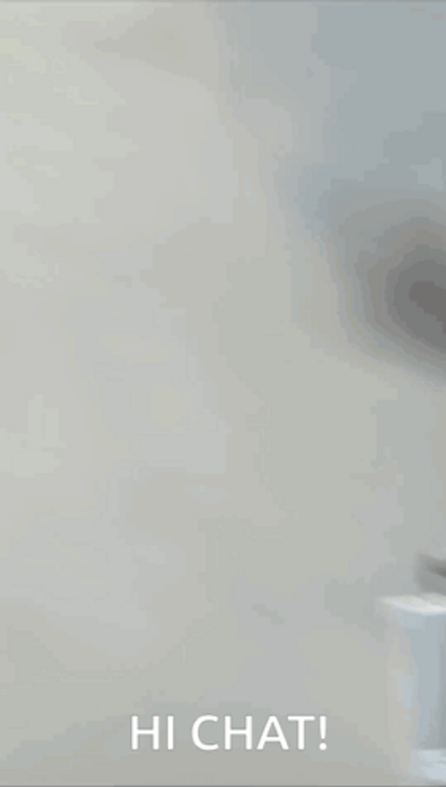 Hi Chat Ordinary Skibidi Toilet GIF
