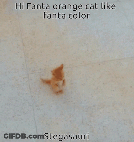 Hi Fanta Orange Cat Like Fanta Color Stegasaurus GIF