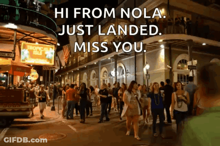 Hi From Nola Landed GIF