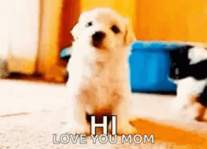 Hi Love You Mom GIF