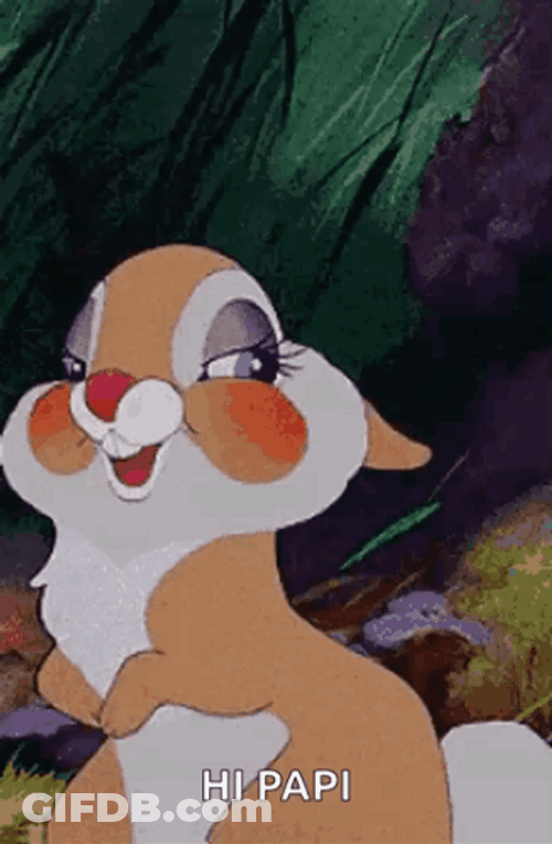 Hi Papi Miss Bunny GIF