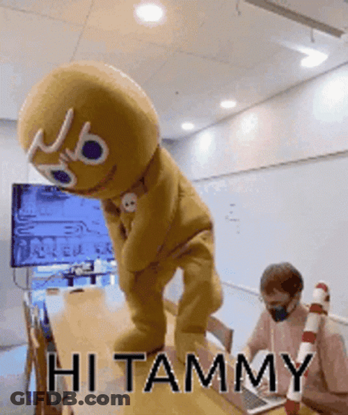 Hi Tammy Table Top Dancing Mascot GIF