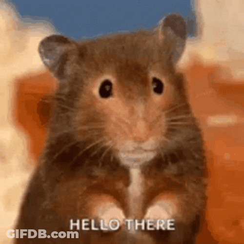Hi There Cute Little Mouse Waving GIF