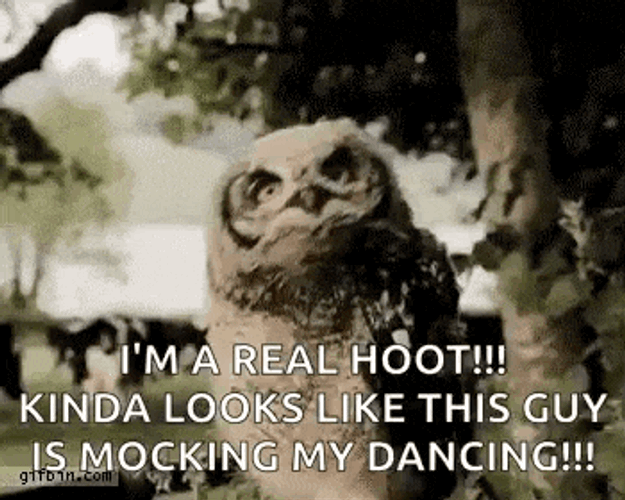 Hi There Hi GIF