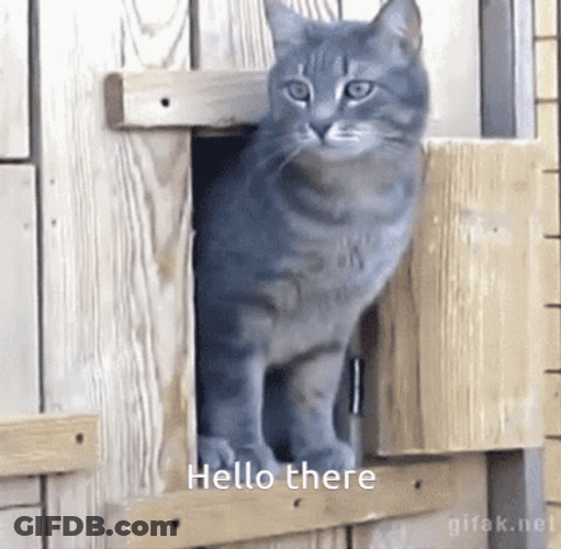 Hi There Mo Cat And Kitten Peeking GIF