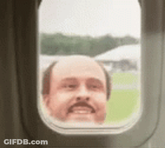 Hi There Waving On Plane Window GIF