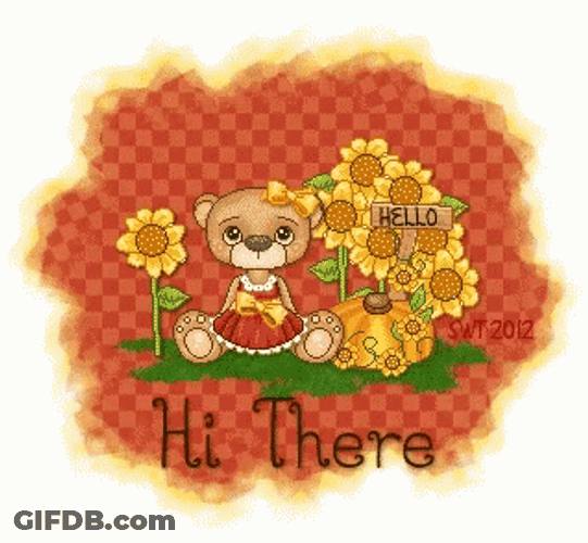 Hi There Winking Bear Moving Artwork GIF