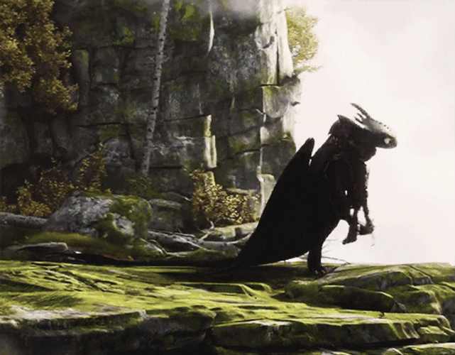 Hiccup Carrying Toothless GIF