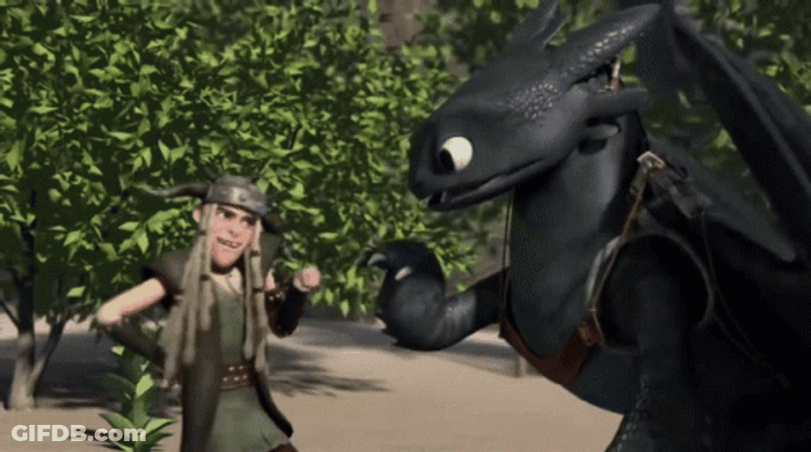 Hiccup Fist Bump Toothless Meme GIF