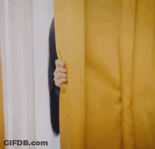 Hide And Seek Lisa Ray Korean GIF