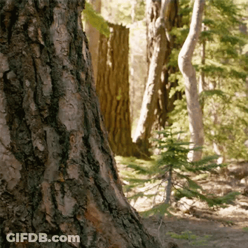 Hide And Seek Spying Alien Creature GIF