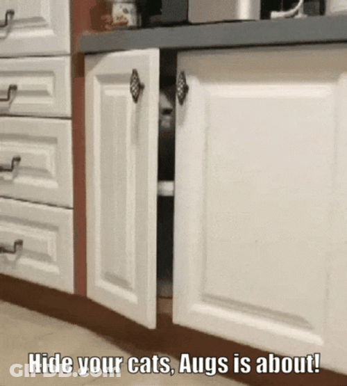 Hide Your Cats Augs Is About GIF