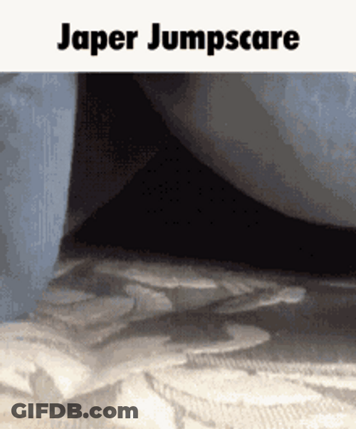 Hiding Cat Surprising Owner Jump Scare GIF