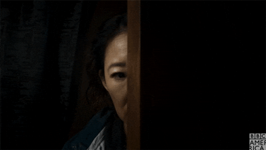 Hiding Meme Sandra Oh Peeking GIF