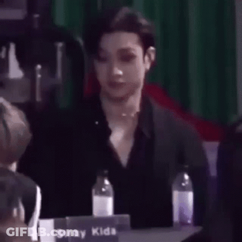Hiding Meme Straykids Bang Chan GIF