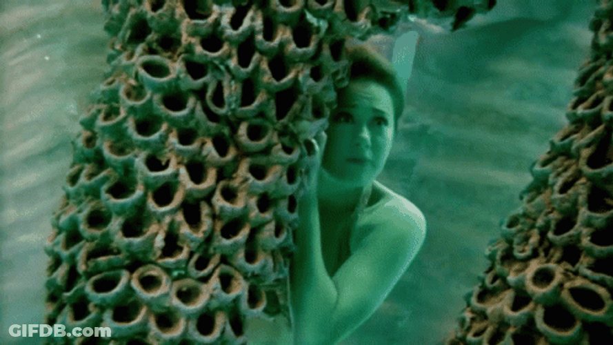 Hiding Mermaid Scared To Siren Head GIF