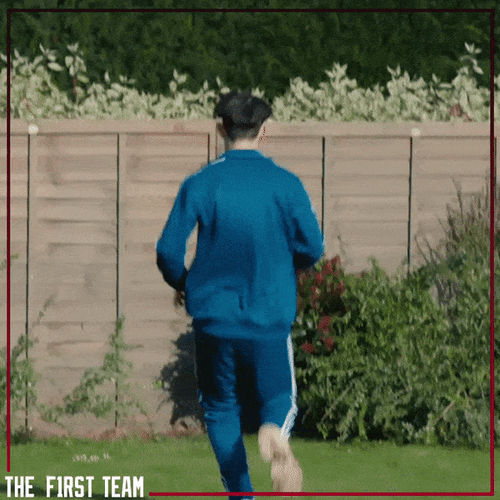 Hiding Over The Fence GIF