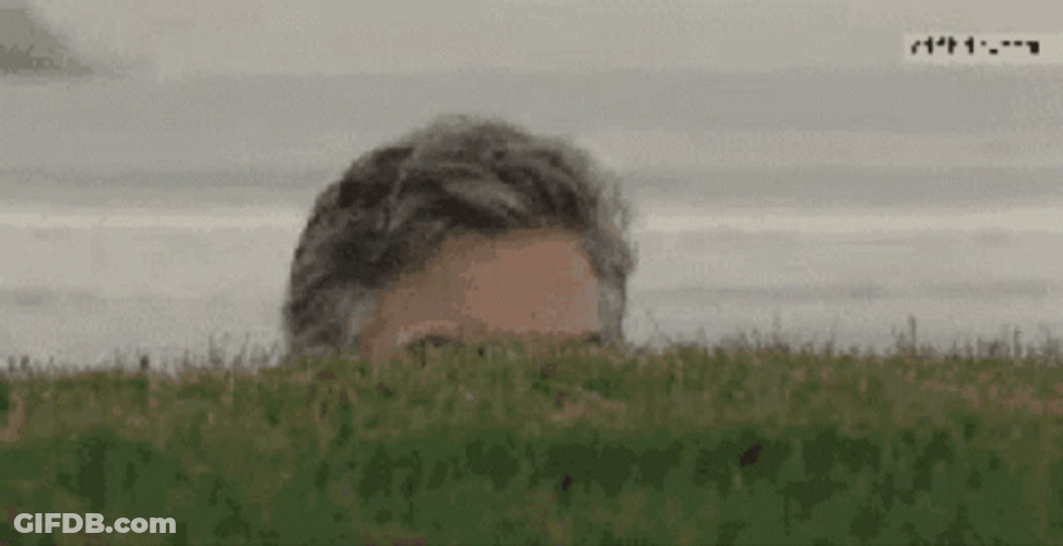 Hiding Sneak Look GIF